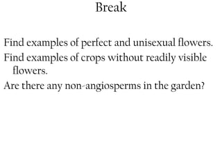 Break 
Find examples of perfect and unisexual flowers. 
Find examples of crops without readily visible 
flowers. 
Are there any non-angiosperms in the garden? 
 