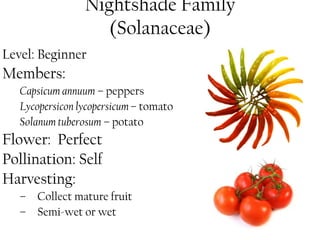 Nightshade Family 
(Solanaceae) 
Level: Beginner 
Members: 
Capsicum annuum – peppers 
Lycopersicon lycopersicum – tomato 
Solanum tuberosum – potato 
Flower: Perfect 
Pollination: Self 
Harvesting: 
– Collect mature fruit 
– Semi-wet or wet 
 
