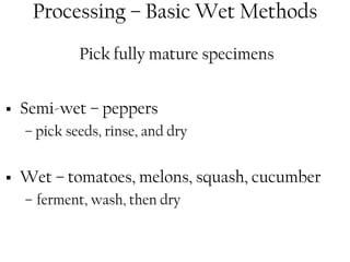 Processing – Basic Wet Methods 
Pick fully mature specimens 
ƒ Semi-wet – peppers 
– pick seeds, rinse, and dry 
ƒ Wet – tomatoes, melons, squash, cucumber 
– ferment, wash, then dry 
 