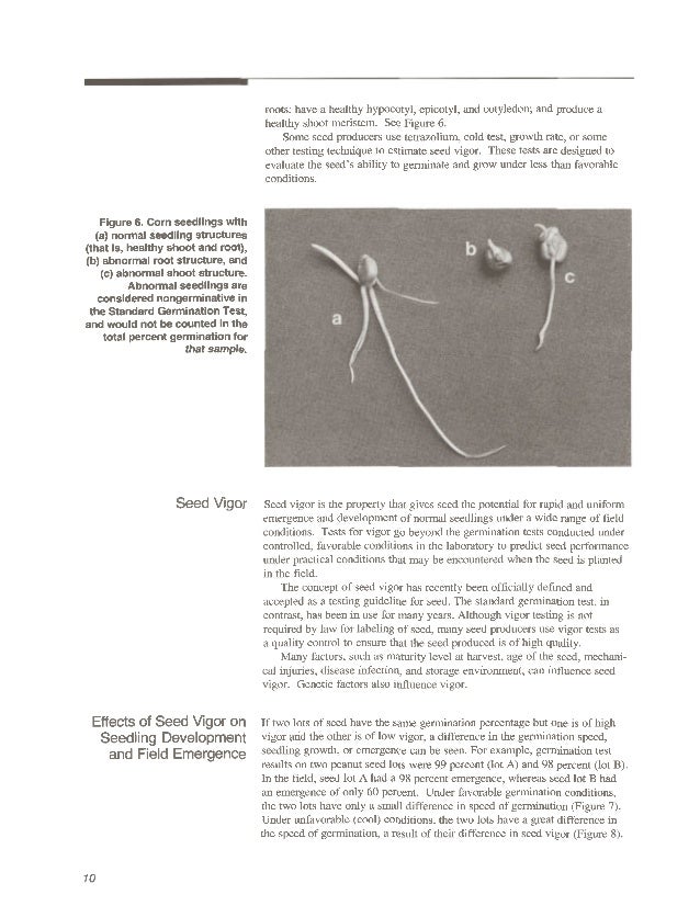 Seed Seed Quality A Guide For Seed Producers Farmers And Home Ga Seed Seed Quality A Guide For Seed Producers Farmers And Home Ga