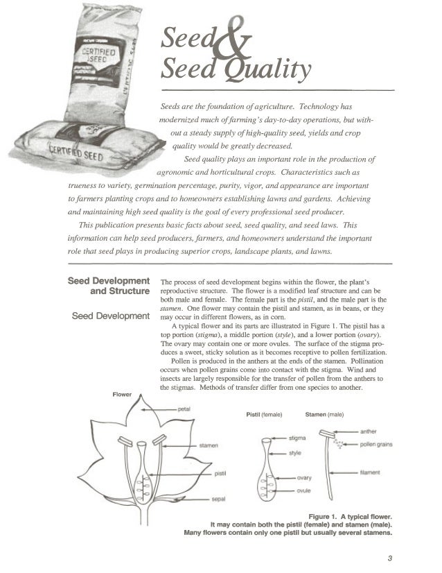 Seed Seed Quality A Guide For Seed Producers Farmers And Home Ga Seed Seed Quality A Guide For Seed Producers Farmers And Home Ga