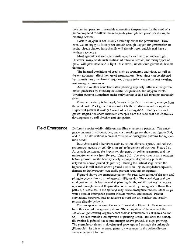 Seed Seed Quality A Guide For Seed Producers Farmers And Home Ga Seed Seed Quality A Guide For Seed Producers Farmers And Home Ga