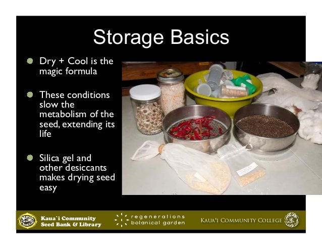 Seed Collection Cleaning Saving And Storage