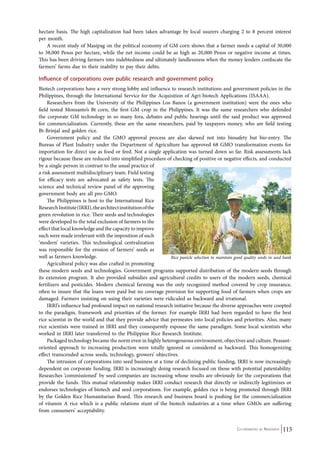 hectare basis. The high capitalization had been taken advantage by local usurers charging 2 to 8 percent interest 
per month. 
A recent study of Masipag on the political economy of GM corn shows that a farmer needs a capital of 30,000 
to 38,000 Pesos per hectare, while the net income could be as high as 20,000 Pesos or negative income at times. 
This has been driving farmers into indebtedness and ultimately landlessness when the money lenders confiscate the 
farmers’ farms due to their inability to pay their debts. 
Influence of corporations over public research and government policy 
Biotech corporations have a very strong lobby and influence to research institutions and government policies in the 
Philippines, through the International Service for the Acquisition of Agri-biotech Applications (ISAAA). 
Researchers from the University of the Philippines Los Banos (a government institution) were the ones who 
field tested Monsanto’s Bt corn, the first GM crop in the Philippines. It was the same researchers who defended 
the corporate GM technology in so many fora, debates and public hearings until the said product was approved 
for commercialization. Currently, these are the same researchers, paid by taxpayers money, who are field testing 
Bt-Brinjal and golden rice. 
Government policy and the GMO approval process are also skewed not into biosafety but bio-entry. The 
Bureau of Plant Industry under the Department of Agriculture has approved 68 GMO transformation events for 
importation for direct use as food or feed. Not a single application was turned down so far. Risk assessments lack 
rigour because these are reduced into simplified procedure of checking of positive or negative effects, and conducted 
by a single person in contrast to the usual practice of 
a risk assessment multidisciplinary team. Field testing 
for efficacy tests are advocated as safety tests. The 
science and technical review panel of the approving 
government body are all pro-GMO. 
Rice panicle selection to maintain good quality seeds in seed bank 
Co-ordinated by Navdanya 115 
The Philippines is host to the International Rice 
Research Institute (IRRI), the architect institution of the 
green revolution in rice. Their seeds and technologies 
were developed to the total exclusion of farmers to the 
effect that local knowledge and the capacity to improve 
such were made irrelevant with the imposition of such 
‘modern’ varieties. This technological centralization 
was responsible for the erosion of farmers’ seeds as 
well as farmers knowledge. 
Agricultural policy was also crafted in promoting 
these modern seeds and technologies. Government programs supported distribution of the modern seeds through 
its extension program. It also provided subsidies and agricultural credits to users of the modern seeds, chemical 
fertilizers and pesticides. Modern chemical farming was the only recognized method covered by crop insurance, 
often to insure that the loans were paid but no coverage provision for supporting food of farmers when crops are 
damaged. Farmers insisting on using their varieties were ridiculed as backward and irrational. 
IRRI’s influence had profound impact on national research initiative because the diverse approaches were coopted 
to the paradigm, framework and priorities of the former. For example IRRI had been regarded to have the best 
rice scientist in the world and that they provide advice that permeates into local policies and priorities. Also, many 
rice scientists were trained in IRRI and they consequently espouse the same paradigm. Some local scientists who 
worked in IRRI later transferred to the Philippine Rice Research Institute. 
Packaged technology became the norm even in highly heterogeneous environment, objectives and culture. Peasant-oriented 
approach to increasing production were totally ignored or considered as backward. This homogenizing 
effect transcended across seeds, technology, growers’ objectives. 
The intrusion of corporations into seed business at a time of declining public funding, IRRI is now increasingly 
dependent on corporate funding. IRRI is increasingly doing research focused on those with potential patentability. 
Researches ‘commissioned’ by seed companies are increasing whose results are obviously for the corporations that 
provide the funds. This mutual relationship makes IRRI conduct research that directly or indirectly legitimizes or 
endorses technologies of biotech and seed corporations. For example, golden rice is being promoted through IRRI 
by the Golden Rice Humanitarian Board. This research and business board is pushing for the commercialization 
of vitamin A rice which is a public relations stunt of the biotech industries at a time when GMOs are suffering 
from consumers’ acceptability. 
 