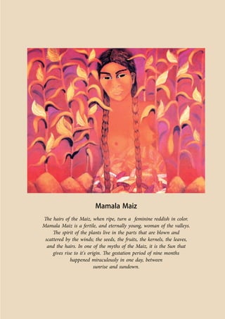 Co-ordinated by Navdanya 151 
Mamala Maiz 
The hairs of the Maiz, when ripe, turn a feminine reddish in color. 
Mamala Maiz is a fertile, and eternally young, woman of the valleys. 
The spirit of the plants live in the parts that are blown and 
scattered by the winds; the seeds, the fruits, the kernels, the leaves, 
and the hairs. In one of the myths of the Maiz, it is the Sun that 
gives rise to it's origin. The gestation period of nine months 
happened miraculously in one day, between 
sunrise and sundown. 
 