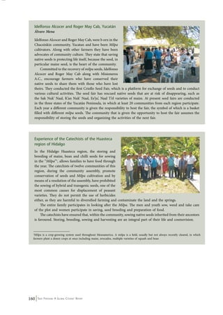 Idelfonso Alcocer and Roger May Cab, Yucatán 
Álvaro Mena 
Idelfonso Alcocer and Roger May Cab, were b orn in the 
Chacsinkin community, Yucatan and have been Milpa 
cultivators. Along with other farmers they have been 
advocates of community culture. They state that saving 
native seeds is protecting life itself, because the seed, in 
particular maize seed, is the heart of the community. 
Committed to the recovery of milpa seeds, Idelfonso 
Alcocer and Roger May Cab along with Misioneros 
A.C., encourage farmers who have conserved their 
native seeds to share them with those who have lost 
theirs. They conducted the first Criollo Seed Fair, which is a platform for exchange of seeds and to conduct 
various cultural activities. The seed fair has rescued native seeds that are at risk of disappearing, such as 
the Sak Nuk’ Naal, K’an Nuk’ Naal, Ee’ju’, Naal T’el varieties of maize. At present seed fairs are conducted 
in the three states of the Yucatán Peninsula, in which at least 20 communities from each region participate. 
Each year a different community is given the responsibility to host the fair, the symbol of which is a basket 
filled with different milpa seeds. The community that is given the opportunity to host the fair assumes the 
responsibility of storing the seeds and organizing the activities of the next fair. 
Experience of the Catechists of the Huasteca 
region of Hidalgo 
In the Hidalgo Huasteca region, the storing and 
breeding of maize, bean and chilli seeds for sowing 
in the “Milpa”1, allows families to have food through 
the year. The catechists of twelve communities of this 
region, during the community assembly, promote 
conservation of seeds and Milpa cultivation and by 
means of a resolution of the assembly, have prohibited 
the sowing of hybrid and transgenic seeds, one of the 
most common causes for displacement of peasant 
varieties. They do not permit the use of herbicides 
either, as they are harmful to diversified farming and contaminate the land and the springs. 
The entire family participates in looking after the Milpa. The men and youth sow, weed and take care 
of the plot and women participate in saving, seed breeding and preparation of food. 
The catechists have ensured that, within the community, sowing native seeds inherited from their ancestors 
is favoured. Storing, breeding, sowing and harvesting are an integral part of their life and cosmovision. 
1Milpa is a crop-growing system used throughout Mesoamerica. A milpa is a field, usually but not always recently cleared, in which 
farmers plant a dozen crops at once including maize, avocados, multiple varieties of squash and bean 
160 Seed Freedom: A Global Citizens’ Report 
 