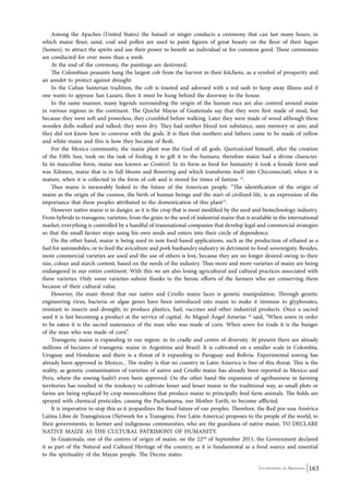 Among the Apaches (United States) the hataali or singer conducts a ceremony that can last many hours, in 
which maize flour, sand, coal and pollen are used to paint figures of great beauty on the floor of their hagan 
(homes), to attract the spirits and use their power to benefit an individual or for common good. These ceremonies 
are conducted for over more than a week. 
At the end of the ceremony, the paintings are destroyed. 
The Colombian peasants hang the largest cob from the harvest in their kitchens, as a symbol of prosperity and 
Co-ordinated by Navdanya 163 
an amulet to protect against drought. 
In the Cuban Santerian tradition, the cob is toasted and adorned with a red sash to keep away illness and if 
one wants to appease San Lazaro, then it must be hung behind the doorway to the house. 
In the same manner, many legends surrounding the origin of the human race are also centred around maize 
in various regions in the continent. The Quiché Mayas of Guatemala say that they were first made of mud, but 
because they were soft and powerless, they crumbled before walking. Later they were made of wood although these 
wooden dolls walked and talked, they were dry. They had neither blood nor substance, sans memory or aim; and 
they did not know how to converse with the gods. It is then that mothers and fathers came to be made of yellow 
and white maize and this is how they became of flesh. 
For the Mexica community, the maize plant was the God of all gods. Quetzalcóatl himself, after the creation 
of the Fifth Sun, took on the task of finding it to gift it to the humans; therefore maize had a divine character. 
In its masculine form, maize was known as Centéotl. In its form as food for humanity it took a female form and 
was Xilonen, maize that is in full bloom and flowering and which transforms itself into Chicomecóatl, when it is 
mature, when it is collected in the form of cob and is stored for times of famine 14. 
Thus maize is inexorably linked to the future of the American people. “The identification of the origin of 
maize as the origin of the cosmos, the birth of human beings and the start of civilized life, is an expression of the 
importance that these peoples attributed to the domestication of this plant15. 
However native maize is in danger, as it is the crop that is most modified by the seed and biotechnology industry. 
From hybrids to transgenic varieties, from the grain to the seed of industrial maize that is available in the international 
market, everything is controlled by a handful of transnational companies that develop legal and commercial strategies 
so that the small farmer stops using his own seeds and enters into their circle of dependence. 
On the other hand, maize is being used in non food-based applications, such as the production of ethanol as a 
fuel for automobiles, or to feed the aviculture and pork husbandry industry in detriment to food-sovereignty. Besides, 
more commercial varieties are used and the use of others is lost, because they are no longer desired owing to their 
size, colour and starch content, based on the needs of the industry. Thus more and more varieties of maize are being 
endangered in our entire continent. With this we are also losing agricultural and cultural practices associated with 
these varieties. Only some varieties subsist thanks to the heroic efforts of the farmers who are conserving them 
because of their cultural value. 
However, the main threat that our native and Criollo maize faces is genetic manipulation. Through genetic 
engineering virus, bacteria or algae genes have been introduced into maize to make it immune to glyphosates, 
resistant to insects and drought; to produce plastics, fuel, vaccines and other industrial products. Once a sacred 
seed it is fast becoming a product at the service of capital. As Miguel Ángel Asturias 16 said, “When sown in order 
to be eaten it is the sacred sustenance of the man who was made of corn. When sown for trade it is the hunger 
of the man who was made of corn”. 
Transgenic maize is expanding in our region: in its cradle and centre of diversity. At present there are already 
millions of hectares of transgenic maize in Argentina and Brazil. It is cultivated on a smaller scale in Colombia, 
Uruguay and Honduras and there is a threat of it expanding to Paraguay and Bolivia. Experimental sowing has 
already been approved in Mexico... The reality is that no country in Latin America is free of this threat. This is the 
reality, as genetic contamination of varieties of native and Criollo maize has already been reported in Mexico and 
Peru, where the sowing hadn’t even been approved. On the other hand the expansion of agribusiness in farming 
territories has resulted in the tendency to cultivate lesser and lesser maize in the traditional way, as small plots or 
farms are being replaced by crop monocultures that produce maize to principally feed farm animals. The fields are 
sprayed with chemical pesticides, causing the Pachamama, our Mother Earth, to become afflicted. 
It is imperative to stop this as it jeopardizes the food future of our peoples. Therefore, the Red por una América 
Latina Libre de Transgénicos (Network for a Transgenic Free Latin America) proposes to the people of the world, to 
their governments, to farmer and indigenous communities, who are the guardians of native maize, TO DECLARE 
NATIVE MAIZE AS THE CULTURAL PATRIMONY OF HUMANITY. 
In Guatemala, one of the centres of origin of maize, on the 22nd of September 2011, the Government declared 
it as part of the Natural and Cultural Heritage of the country, as it is fundamental as a food source and essential 
to the spirituality of the Mayan people. The Decree states: 
 