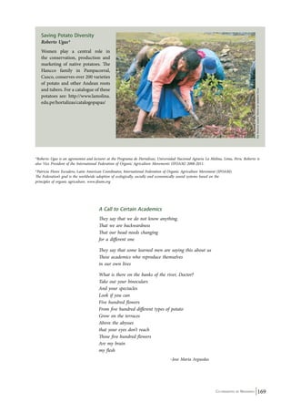Co-ordinated by Navdanya 169 
Saving Potato Diversity 
Roberto Ugas* 
Women play a central role in 
the conservation, production and 
marketing of native potatoes. The 
Hancco family in Pampacorral, 
Cusco, conserves over 200 varieties 
of potato and other Andean roots 
and tubers. For a catalogue of these 
potatoes see: http://www.lamolina. 
edu.pe/hortalizas/catalogopapas/ 
A Call to Certain Academics 
They say that we do not know anything. 
That we are backwardness 
That our head needs changing 
for a different one 
They say that some learned men are saying this about us 
These academics who reproduce themselves 
in our own lives 
What is there on the banks of the river, Doctor? 
Take out your binoculars 
And your spectacles 
Look if you can 
Five hundred flowers 
From five hundred different types of potato 
Grow on the terraces 
Above the abysses 
that your eyes don’t reach 
Those five hundred flowers 
Are my brain 
my flesh 
–Jose Maria Arguedas 
The Hancco family. Photo by roberto Ugas 
*Roberto Ugas is an agronomist and lecturer at the Programa de Hortalizas, Universidad Nacional Agraria La Molina, Lima, Peru. Roberto is 
also Vice President of the International Federation of Organic Agriculture Movements (IFOAM) 2008-2011. 
*Patricia Flores Escudero, Latin American Coordinator, International Federation of Organic Agriculture Movement (IFOAM). 
The Federation’s goal is the worldwide adoption of ecologically, socially and economically sound systems based on the 
principles of organic agriculture. www.ifoam.org 
 