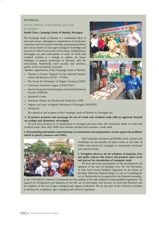 Nicarag ua 
For the Defense of Biodiversity and Food 
Sovereignty 
Harold Calvo, Campaign Seeds of Identity, Nicaragua 
The Campaign Seeds of Identity is a coordinated effort of 
men and women, belonging to organizations of producers, 
consumers and civil society’s networks, promoting initiatives 
and actions based on local agro-ecological knowledge and 
practices in order to rescue the conservation, multiplication, 
self-supply, use and consumption of seeds of creole and 
creolized varieties as a strategy to address the future 
challenges of peasant production in harmony with the 
environment, biodiversity, food security and nutrition, 
quality of life and identity of people. 
Member organizations of the Campaign Seeds of Identity: 
• “Farmer to Farmer Program” by the National Farmers 
Union and Breeders (PCAC / UNAG) 
• The Group for Promotion of Organic Farming (GPAE) 
• Consumer Protection League (LIDECONIC) 
• Interest Group for the Sovereignty, Food and Nutritional 
Security (GISSAN) 
• Humboldt Center 
• American Alliance for Biodiversity Protection (APB) 
• Organic and Agro ecological Movement of Nicaragua (MAONIC) 
• SWISSAID 
The objectives and progress of the Campaign Seeds of Identity in Nicaragua are: 
1. To protect, promote and encourage the use of creole and creolized seeds with an approach focused 
on ecology and alimentary sovereignty. 
We now have presence in 14 departments in Nicargua and more than 250 community banks of creole and 
creolized seeds. More than 35000 farm families produce and consume creole seeds. 
2. Disseminating information and promoting, in communities and organizations, actions against the problems 
related to genetic resources and GMOs 
178 Seed Freedom: A Global Citizens’ Report 
Fairs of genetic resources and healthy food, courses and 
workshops on the benefits of native seeds on the risks of 
GMOs and actions for campaign at community municipal 
and national levels. 
3. Strengthen advocacy for the adoption of programs, laws 
and public policies that protect and promote native seeds 
and prevent the introduction of transgenic seeds. 
We have had active participation in the development and 
adoption of the Law on Biosafety (Act 705: On Prevention 
of risks from Living Modified Organisms by the Means of 
Biosafety Molecular Biotechnology) as well as in drafting the 
Act of Biodiversity (to be approved by the National Assembly), 
in the CONARGEN (National Commission for the analysis of the risks related to living modified organisms). We 
support the development and adoption of Act 693, act of Sovereignty and Security on Food and Nutrition and 
the adoption of the Law of agro ecological and organic production. We are also part of the technical committee 
to develop the compulsory agro ecological and technical regulation. 
 