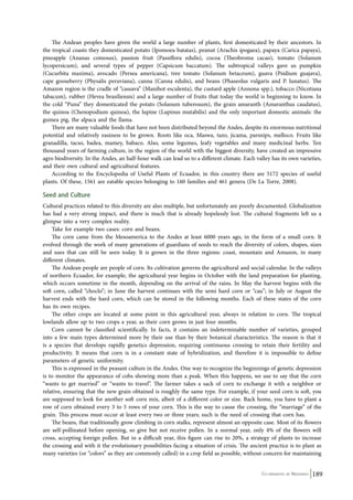 The Andean peoples have given the world a large number of plants, first domesticated by their ancestors. In 
the tropical coasts they domesticated potato (Ipomoea batatas), peanut (Arachis ipogaea), papaya (Carica papaya), 
pineapple (Ananas comosus), passion fruit (Passiflora edulis), cocoa (Theobroma cacao), tomato (Solanum 
lycopersicum), and several types of pepper (Capsicum baccatum). The subtropical valleys gave us pumpkin 
(Cucurbita maxima), avocado (Persea americana), tree tomato (Solanum betaceum), guava (Psidium guajava), 
cape gooseberry (Physalis peruviana), canna (Canna edulis), and beans (Phaseolus vulgaris and P. lunatus). The 
Amazon region is the cradle of “cassava” (Manihot esculenta), the custard apple (Annona spp.), tobacco (Nicotiana 
tabacum), rubber (Hevea brasiliensis) and a large number of fruits that today the world is beginning to know. In 
the cold “Puna” they domesticated the potato (Solanum tuberosum), the grain amaranth (Amaranthus caudatus), 
the quinoa (Chenopodium quinoa), the lupine (Lupinus mutabilis) and the only important domestic animals: the 
guinea pig, the alpaca and the llama. 
There are many valuable foods that have not been distributed beyond the Andes, despite its enormous nutritional 
potential and relatively easiness to be grown. Roots like oca, Maswa, tazo, jicama, parsnips, melloco. Fruits like 
granadilla, tacso, badea, mamey, babaco. Also, some legumes, leafy vegetables and many medicinal herbs. Ten 
thousand years of farming culture, in the region of the world with the biggest diversity, have created an impressive 
agro biodiversity. In the Andes, an half-hour walk can lead us to a different climate. Each valley has its own varieties, 
and their own cultural and agricultural features. 
According to the Encyclopedia of Useful Plants of Ecuador, in this country there are 5172 species of useful 
plants. Of these, 1561 are eatable species belonging to 160 families and 461 genera (De La Torre, 2008). 
Seed and Culture 
Cultural practices related to this diversity are also multiple, but unfortunately are poorly documented. Globalization 
has had a very strong impact, and there is much that is already hopelessly lost. The cultural fragments left us a 
glimpse into a very complex reality. 
Take for example two cases: corn and beans. 
The corn came from the Mesoamerica to the Andes at least 6000 years ago, in the form of a small corn. It 
evolved through the work of many generations of guardians of seeds to reach the diversity of colors, shapes, sizes 
and uses that can still be seen today. It is grown in the three regions: coast, mountain and Amazon, in many 
different climates. 
The Andean people are people of corn. Its cultivation governs the agricultural and social calendar. In the valleys 
of northern Ecuador, for example, the agricultural year begins in October with the land preparation for planting, 
which occurs sometime in the month, depending on the arrival of the rains. In May the harvest begins with the 
soft corn, called “choclo”; in June the harvest continues with the semi hard corn or “cau”; in July or August the 
harvest ends with the hard corn, which can be stored in the following months. Each of these states of the corn 
has its own recipes. 
The other crops are located at some point in this agricultural year, always in relation to corn. The tropical 
Co-ordinated by Navdanya 189 
lowlands allow up to two crops a year, as their corn grows in just four months. 
Corn cannot be classified scientifically. In facts, it contains an indeterminable number of varieties, grouped 
into a few main types determined more by their use than by their botanical characteristics. The reason is that it 
is a species that develops rapidly genetics depression, requiring continuous crossing to retain their fertility and 
productivity. It means that corn is in a constant state of hybridization, and therefore it is impossible to define 
parameters of genetic uniformity. 
This is expressed in the peasant culture in the Andes. One way to recognize the beginnings of genetic depression 
is to monitor the appearance of cobs showing more than a peak. When this happens, we use to say that the corn 
“wants to get married” or “wants to travel”. The farmer takes a sack of corn to exchange it with a neighbor or 
relative, ensuring that the new grain obtained is roughly the same type. For example, if your seed corn is soft, you 
are supposed to look for another soft corn mix, albeit of a different color or size. Back home, you have to plant a 
row of corn obtained every 3 to 5 rows of your corn. This is the way to cause the crossing, the “marriage” of the 
grain. This process must occur at least every two or three years; such is the need of crossing that corn has. 
The beans, that traditionally grow climbing in corn stalks, represent almost an opposite case. Most of its flowers 
are self-pollinated before opening, so give but not receive pollen. In a normal year, only 4% of the flowers will 
cross, accepting foreign pollen. But in a difficult year, this figure can rise to 20%, a strategy of plants to increase 
the crossing and with it the evolutionary possibilities facing a situation of crisis. The ancient practice is to plant as 
many varieties (or “colors” as they are commonly called) in a crop field as possible, without concern for maintaining 
 
