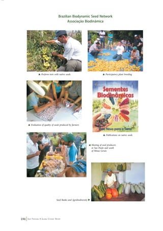 Brazilian Biodynamic Seed Network 
194 Seed Freedom: A Global Citizens’ Report 
Associação Biodinâmica 
s Perform tests with native seeds s Participatory plant breeding 
s Evaluation of quality of seeds produced by farmers 
s Publications on native seeds 
Meeting of seed producers 
in Sao Paulo and south 
of Minas Gerais 
s 
Seed Banks and Agrobiodiversity 
s 
 
