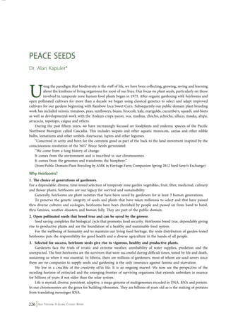 Peace Seeds 
Dr. Alan Kapuler* 
Using the paradigm that biodiversity is the staff of life, we have been collecting, growing, saving and learning 
about the kindoms of living organisms for most of our lives. Our focus on plant seeds, particularly on those 
involved in temperate zone human food plants began in 1973. After organic gardening with heirlooms and 
open pollinated cultivars for more than a decade we began using classical genetics to select and adapt improved 
cultivars for our gardens beginning with Rainbow Inca Sweet Corn. Subsequently our public domain plant breeding 
work has included onions, tomatoes, peas, sunflowers, beans, broccoli, kale, marigolds, cucumbers, squash, and beets 
as well as developmental work with the Andean crops yacon, oca, mashua, chocho, achocha, ulluco, mauka, ahipa, 
arracacia, topotopo, caigua and others. 
During the past fifteen years, we have increasingly focused on foodplants and endemic species of the Pacific 
Northwest Bioregion called Cascadia. This includes wapato and other aquatic monocots, camas and other edible 
bulbs, lomatiums and other umbels Asteraceae, lupins and other legumes. 
“Conceived in unity and born for the common good as part of the back to the land movement inspired by the 
consciousness revolution of the ‘60’s” Peace Seeds germinated. 
“We come from a long history of change. 
It comes from the environment and is inscribed in our chromosomes. 
It comes from the genomes and transforms the biosphere.” 
(from Public Domain Plant Breeding by AMK in Heritage Farm Companion Spring 2012 Seed Saver’s Exchange) 
Why Heirlooms? 
1. The choice of generations of gardeners. 
For a dependable, diverse, time-tested selection of temperate zone garden vegetables, fruit, fiber, medicinal, culinary 
and flower plants, heirlooms are our legacy for survival and sustainability. 
Generally, heirlooms are plant varieties that have been saved by gardeners for at least 3 human generations. 
To preserve the genetic integrity of seeds and plants that have taken millennia to select and that have passed 
thru diverse cultures and ecologies, heirlooms have been cherished by people and passed on from hand to hand, 
thru famines, weather disasters and human folly. They are part of the public domain. 
2. Open pollinated seeds that breed true and can be saved by the grower. 
Seed saving completes the biological cycle that promotes food security. Heirlooms breed true, dependably giving 
rise to productive plants and are the foundation of a healthy and sustainable food system. 
For the wellbeing of humanity and to maintain our living food heritage, the wide distribution of garden tested 
heirlooms puts the responsibility for good health and a diverse agriculture in the hands of all people. 
3. Selected for success, heirloom seeds give rise to vigorous, healthy and productive plants. 
Gardeners face the trials of erratic and extreme weather, unreliability of water supplies, predation and the 
unexpected. The best heirlooms are the survivors that were successful during difficult times, tested by life and death, 
sustaining us when it was essential. In Siberia, there are millions of gardeners, most of whom are seed savers since 
there are no companies to supply seeds and gardening is the only insurance against famine and starvation. 
We live in a crucible of the creativity of/in life. It is an ongoing marvel. We now see the perspective of the 
receding horizon of extincted and the emerging frontier of surviving organisms that extends unbroken in essence 
for billions of years if not older than the solar system. 
Life is myriad, diverse, persistent, adaptive, a mega-genome of multigenomes encoded in DNA, RNA and protein. 
In our chromosomes are the genes for building ribosomes. They are billions of years old as is the making of proteins 
from translating messenger RNA. 
226 Seed Freedom: A Global Citizens’ Report 
 