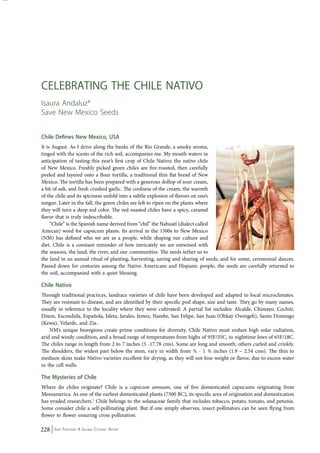 Celebrating The Chile Nativo 
Isaura Andaluz* 
Save New Mexico Seeds 
Chile Defines New Mexico, USA 
It is August. As I drive along the banks of the Rio Grande, a smoky aroma, 
tinged with the scents of the rich soil, accompanies me. My mouth waters in 
anticipation of tasting this year’s first crop of Chile Nativo; the native chile 
of New Mexico. Freshly picked green chiles are fire-roasted, then carefully 
peeled and layered onto a flour tortilla, a traditional thin flat bread of New 
Mexico. The tortilla has been prepared with a generous dollop of sour cream, 
a bit of salt, and fresh crushed garlic. The coolness of the cream, the warmth 
of the chile and its spiciness unfold into a subtle explosion of flavors on one’s 
tongue. Later in the fall, the green chiles are left to ripen on the plants where 
they will turn a deep red color. The red roasted chiles have a spicy, caramel 
flavor that is truly indescribable. 
“Chile” is the Spanish name derived from “chil” the Nahuatl (dialect called 
Aztecan) word for capsicum plants. Its arrival in the 1500s to New Mexico 
(NM) has defined who we are as a people, while shaping our culture and 
diet. Chile is a constant reminder of how intricately we are entwined with 
the seasons, the land, the river, and our communities. The seeds tether us to 
the land in an annual ritual of planting, harvesting, saving and sharing of seeds, and for some, ceremonial dances. 
Passed down for centuries among the Native Americans and Hispanic people, the seeds are carefully returned to 
the soil, accompanied with a quiet blessing. 
Chile Nativo 
Through traditional practices, landrace varieties of chile have been developed and adapted to local microclimates. 
They are resistant to disease, and are identified by their specific pod shape, size and taste. They go by many names, 
usually in reference to the locality where they were cultivated: A partial list includes: Alcalde, Chimayo, Cochiti, 
Dixon, Escondida, Española, Isleta, Jarales, Jemez, Nambe, San Felipe, San Juan (Ohkay Owingeh), Santo Domingo 
(Kewa), Velarde, and Zía. 
NM’s unique bioregions create prime conditions for diversity. Chile Nativo must endure high solar radiation, 
arid and windy condition, and a broad range of temperatures from highs of 95F/35C, to nighttime lows of 65F/18C. 
The chiles range in length from 2 to 7 inches (5 -17.78 cms). Some are long and smooth; others curled and crinkly. 
The shoulders, the widest part below the stem, vary in width from ¾ - 1 ¾ inches (1.9 – 2.54 cms). The thin to 
medium skins make Nativo varieties excellent for drying, as they will not lose weight or flavor, due to excess water 
in the cell walls. 
The Mysteries of Chile 
Where do chiles originate? Chile is a capsicum annuum, one of five domesticated capsicums originating from 
Mesoamerica. As one of the earliest domesticated plants (7500 BC), its specific area of origination and domestication 
has evaded researchers.1 Chile belongs to the solanaceae family that includes tobacco, potato, tomato, and petunia. 
Some consider chile a self-pollinating plant. But if one simply observes, insect pollinators can be seen flying from 
flower to flower ensuring cross pollination. 
228 Seed Freedom: A Global Citizens’ Report 
 