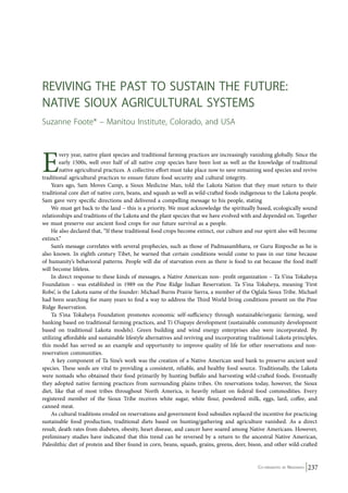Reviving the Past to Sust ain the Future: 
Native Sioux Agricultural Syst ems 
Suzanne Foote* – Manitou Institute, Colorado, and USA 
Every year, native plant species and traditional farming practices are increasingly vanishing globally. Since the 
early 1500s, well over half of all native crop species have been lost as well as the knowledge of traditional 
native agricultural practices. A collective effort must take place now to save remaining seed species and revive 
Co-ordinated by Navdanya 237 
traditional agricultural practices to ensure future food security and cultural integrity. 
Years ago, Sam Moves Camp, a Sioux Medicine Man, told the Lakota Nation that they must return to their 
traditional core diet of native corn, beans, and squash as well as wild-crafted foods indigenous to the Lakota people. 
Sam gave very specific directions and delivered a compelling message to his people, stating 
We must get back to the land – this is a priority. We must acknowledge the spiritually based, ecologically sound 
relationships and traditions of the Lakota and the plant species that we have evolved with and depended on. Together 
we must preserve our ancient food crops for our future survival as a people. 
He also declared that, “If these traditional food crops become extinct, our culture and our spirit also will become 
extinct.” 
Sam’s message correlates with several prophecies, such as those of Padmasambhava, or Guru Rinpoche as he is 
also known. In eighth century Tibet, he warned that certain conditions would come to pass in our time because 
of humanity’s behavioral patterns. People will die of starvation even as there is food to eat because the food itself 
will become lifeless. 
In direct response to these kinds of messages, a Native American non- profit organization – Ta S’ina Tokaheya 
Foundation – was established in 1989 on the Pine Ridge Indian Reservation. Ta S’ina Tokaheya, meaning ‘First 
Robe’, is the Lakota name of the founder: Michael Burns Prairie Sierra, a member of the Oglala Sioux Tribe. Michael 
had been searching for many years to find a way to address the Third World living conditions present on the Pine 
Ridge Reservation. 
Ta S’ina Tokaheya Foundation promotes economic self-sufficiency through sustainable/organic farming, seed 
banking based on traditional farming practices, and Ti O’sapaye development (sustainable community development 
based on traditional Lakota models). Green building and wind energy enterprises also were incorporated. By 
utilizing affordable and sustainable lifestyle alternatives and reviving and incorporating traditional Lakota principles, 
this model has served as an example and opportunity to improve quality of life for other reservations and non-reservation 
communities. 
A key component of Ta Sine’s work was the creation of a Native American seed bank to preserve ancient seed 
species. These seeds are vital to providing a consistent, reliable, and healthy food source. Traditionally, the Lakota 
were nomads who obtained their food primarily by hunting buffalo and harvesting wild-crafted foods. Eventually 
they adopted native farming practices from surrounding plains tribes. On reservations today, however, the Sioux 
diet, like that of most tribes throughout North America, is heavily reliant on federal food commodities. Every 
registered member of the Sioux Tribe receives white sugar, white flour, powdered milk, eggs, lard, coffee, and 
canned meat. 
As cultural traditions eroded on reservations and government food subsidies replaced the incentive for practicing 
sustainable food production, traditional diets based on hunting/gathering and agriculture vanished. As a direct 
result, death rates from diabetes, obesity, heart disease, and cancer have soared among Native Americans. However, 
preliminary studies have indicated that this trend can be reversed by a return to the ancestral Native American, 
Paleolithic diet of protein and fiber found in corn, beans, squash, grains, greens, deer, bison, and other wild-crafted 
 