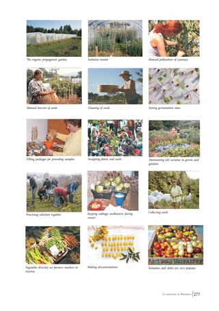 Seed Freedom ~ navdanya