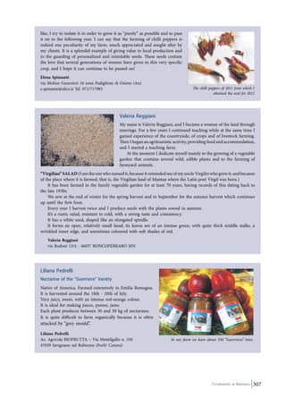 Seed Freedom ~ navdanya