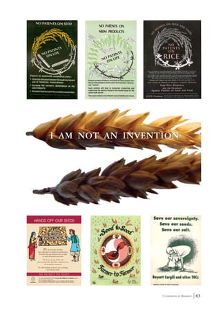 Co-ordinated by Navdanya 63 
 