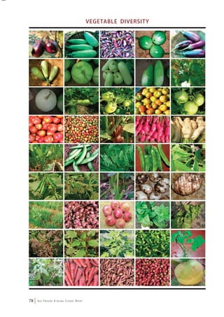 78 Seed Freedom: A Global Citizens’ Report 
Vegetable Diversity 
 