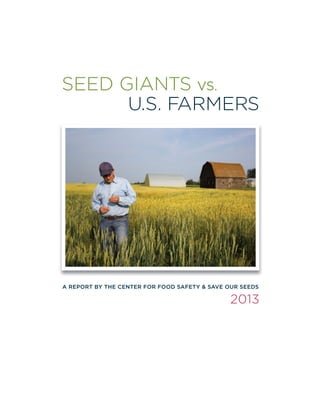 SEED GIANTS VS. 
U.S. FARMERS 
A REPORT BY THE CENTER FOR FOOD SAFETY & SAVE OUR SEEDS 
2013 
 