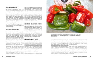 24 BRE EDING ORGANIC V EGE TABL E S 25 
CHAPTER FOUR: STEP-BY-STEP CROP IMPROVEMENT 
special efforts to inbreed these species into a stable variety. In contrast to selfers, crossers have a different mother plant from the father plant. Traits can be elusive in crossers. One generation you have it, the next you don’t. This is a result of transgressive segregation. Every time an individual plant cross-pollinates, its genes recombine, often resulting in unpredictable combinations for the next couple of generations.16 
Breeder John Navazio claims that the hardest thing in all plant breeding is to breed a new open-pollinated (OP) variety of a cross-pollinating crop, and then to maintain it well over many generations.17 To do effective breeding and selection you must not only choose which pollen is desirable and which is not; you must also ensure that the right pollen is getting to the source. 
Many organic farmers and gardeners have a diverse array of plants in their fields. If your intention is saving seed from a cross-pollinated plant, you need to ensure that it is sufficiently isolated from other varieties of the same crop species. See Appendix C for guidance on isolation distances and methods. 
POLLINATION HABITS 
As discussed in the seed-saving chapter, it is crucial to understand the pollination habits of the crops that you work with. Knowing this will help you pick the right crops for your growing situation and determine the best breeding scheme for your chosen crop type. Making selections of superior plants and saving seed requires two entirely different perspectives and approaches depending on whether you are working with self-pollinated plants (selfers) or cross-pollinated plants (crossers). As veteran breeder John Navazio laments, “We have so many lousy open-pollinated varieties in crossers because people have treated crossers like selfers.”13 So, save yourself generations of misguided selection and frustration by getting to know your plant sex! 
SELF-POLLINATED PLANTS 
As explained in Chapter 3, a selfer is a plant that pollinates itself to make fertile seeds. These plants have functional male and female parts in the same flower. Often, selfers will pollinate themselves even before the flower has opened. Many vegetables and small grains are selfers, which means that these species will “automatically” pollinate themselves into thousands of pure breeding lines (genetically uniform lines) after the initial cross or mutation has occurred. As Frank Morton explains it, selfers are conservative: When they hit on a good combination of traits, they maintain them.14 
Self-pollinated seed stock can either be a pure line or a multi-line. A pure-line variety is totally uniform, the progeny of one initial plant, which is then multiplied out to thousands of seeds. These populations are almost completely uniform and are often offered by large commercial seed sources. Selection in this type of line is ineffective, because there is not enough genetic diversity from which to select. These types of populations change slowly 
over time, and after dozens of generations might show slight variations due to mutations or chance crosses. 
A multi-line population is a collection of pure-line plants. When working with these types of populations (often seen in heirloom varieties), you can effectively select between different lines and make progress. Within these populations, with the low occurrence of outcrossing, there is still enough genetic variation with which to work. 
REMEMBER: SELFERS CAN CROSS! 
Especially on organic farms, where there is a diversity of blooms and habitat for native and domesticated pollinators, cross-pollination within supposed selfers occurs at a much higher rate than expected. Certain varieties of peppers and tomatoes can be particularly “promiscuous” and outcross at high rates—potato-leaved tomato varieties, for example. So take care to isolate these plants, for just one unwanted cross can throw a wrench in the gears of your breeding project. 
CROSS-POLLINATED PLANTS 
Cross-pollinated plants, also known as crossers, are plants that have flowers designed to promote outcrossing with other plants. This is an evolutionary mechanism to prevent inbreeding. Inbreeding can cause all sorts of problems, such as loss of vigor, loss in yield, etc. The evolutionary strategy of a crosser is to experiment, mingling and mixing with other genotypes to cover up deleterious traits and increase fitness to its environment.15 
Because these plants thrive on variation, it takes 
EXPERIMENTAL PEPPER LINES AND COMMERCIAL VARIETIES GROWN IN AN ON-FARM TRIAL 
IN COLLABORATION WITH THE CORNELL DEPARTMENT OF PLANT BREEDING AND GENETICS 
PHOTO, ELIZABETH DYCK  