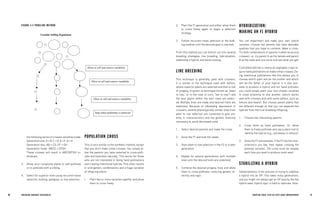 40 BRE EDING ORGANIC V EGE TABL E S 41 
CHAPTER FOUR: STEP-BY-STEP CROP IMPROVEMENT 
the following series of crosses would be made: Generation one: A × B, C × D, E × F, G × Hxxxxxx Generation two: AB × CD, EF × GHxxxxxxxxxx Generation three: ABCD × EFGHxxxxxxxxxxx These crosses will result in ABCDEFGH individuals. 
3. Allow your composite plants to self-pollinate or to pollinate with a sibling. 
4. Select for superior lines using recurrent mass selection, bulking, pedigree, or line selection. 
POPULATION CROSS 
This is very similar to the synthetic method, except that you don’t make initial crosses. You simply allow the parents you have selected to cross-pollinate and hybridize naturally. This works for those who are not interested in doing hand pollinations and creating intentional hybrids. This often results in wild genetic combinations and a huge variation of offspring plants. 
1. Plant two or more varieties together and allow them to cross freely. 
2. Plant the F1 generation and either allow them to cross freely again or begin a selection strategy. 
3. Follow recurrent mass selection or the bulking method until the desired goal is reached. 
From this method you can branch out into several breeding strategies: line breeding, hybridization, stabilizing a hybrid, and backcrossing. 
LINE BREEDING 
This technique is generally used with crossers. It is similar to the technique used with selfers, where superior plants are selected and then a row of progeny is grown (a technique known as “plant to row,” or in the case of corn, “ear to row”) and the best plants within the best rows are selected. Multiple lines are made and desired traits are stabilized. Because of inbreeding depression in crossers, several phenotypically similar lines from plant to row selection are combined to give stability in characteristics and the genetic diversity necessary to avoid decreased yield. 
1. Select desired parents and make the cross. 
2. Grow the F1 and bulk the seeds. 
3. Start plant to row selection in the F2 or a later generation. 
4. Repeat for several generations with multiple lines until the desired traits are stabilized. 
5. Combine the desired progeny lines and allow them to cross-pollinate, restoring genetic diversity and vigor. 
HYBRIDIZATION: 
MAKING AN F1 HYBRID 
You can experiment and make your own hybrid varieties. Choose two parents that have desirable qualities that you hope to combine. Make a cross. Try both combinations of parents (called reciprocal crosses); i.e., try parent A as the female and parent B as the male and vice versa and see what you get! 
Controlled hybrids in nearly all vegetable crops require hand pollinations to make initial crosses. Doing intentional pollinations like this allows you to choose which plant will be the mother and which will be the father of your hybrid. It is also possible to produce a hybrid and not hand pollinate; you could simply plant your two chosen varieties in close proximity to one another (which works well with crossers and with some selfers, such as lettuce and beans). But choose parent plants that are different enough so that you can separate the hybrids from the true-breeding offspring. 
1. Choose two interesting parents. 
2. Cross them by hand pollination. Or, allow them to freely pollinate and use a plant trait to identify the hybrid (e.g., red leaves in lettuce). 
3. Grow the F1 and evaluate. If the F1 has the characteristics you like, then repeat crossing the parental varieties. The cross must be remade each time you want to produce more seed. 
STABILIZING A HYBRID 
Dehybridization is the process of trying to stabilize 
a hybrid into an OP. This takes many generations, and you might not always get an OP exactly like the hybrid seed. Hybrid vigor is hard to replicate. HowPureline 
Method Variable Selfing Population Allow to self and remove variability Allow to self and remove variability Allow to self and remove variability Stop when uniformity is achieved 
FIGURE 4.4 PURELINE METHOD 
Pureline Method Variable Selfing Population Allow to self and remove variability Allow to self and remove variability Allow to self and remove variability Stop when uniformity is achieved  