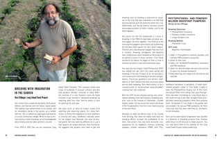 66 BRE EDING ORGANIC V EGE TABL E S 67 
CHAPTER FIVE: GROWER-BREEDER RECIPES FOR BETTER VEGETABLES 
BREEDING WITH IMAGINATION 
IN THE GARDEN 
Ken Ettlinger, Long Island Seed Project 
Ken comes from a seed-saving family: Both grandfathers, one German and one Italian, saved seeds. The tradition was passed down to his mother, and he remembers being in the garden as a toddler with her. Ken is trained as a geologist and teaches at a local community college. While he has no formal training in plant breeding, he is knowledgeable about botany and has taken genetics courses. 
From 1978 to 1993, Ken ran the innovative Long Island Seed Company. The company raised seed crops of hundreds of unusual cultivars and also sold growers “blends,” mixtures of many different varieties of a crop. Growers could use these mixtures to get started in “backyard breeding” by selecting seed from their favorite plants to save for planting the next year. 
Ken says much of what he knows comes from watching and observing plants. For many heirlooms, he thinks that adaptation to local conditions is intuitive and easy. Gardeners naturally select for the largest, best-flavored, and most productive plants. Ken has seen big differences in just a few seasons by simple selection from heirlooms. He suggests that growers who want to get into breeding start by building a collection of varieties of the crop they are interested in so that they become familiar with the diversity within the crop. Additionally, just having several varieties around encourages growers to make crosses—just to see what happens. 
Ken points out that the unexpected is a boon to breeding. In the 1980s he kept bees and grew several pepper varieties together. The thinking at the time was that peppers were mostly self-pollinating, but the bees didn’t agree! He had a dwarf pepper, Thai hot, and a Southwestern pepper that bore fruit in clusters. Amazing, outrageous, and beautiful new combinations were revealed as the product of accidental crosses of those varieties. From these wonderful accidents, he began to think of how to combine varieties in new and interesting ways. 
Ken says that the Organic Seed Partnership (OSP) has helped him get back into seed saving and breeding. In the last 15 years or so, he has seen a real turnaround in the thinking of farmers and gardeners. Previously gardeners and farmers didn’t want to or didn’t believe that they could save seeds and do plant breeding. Now there seems to be a countercurrent of farmers/seed savers/breeders creating their own materials. 
With the OSP he has enjoyed seeing new combinations develop from participatory breeding projects, such as the crosses of Charentais × Golden Gopher melon. He has found that some individuals of the F2 generation from this cross have amazing aroma and flavor. 
Because he does not derive most of his income from farming, Ken does not really track how his breeding efforts increase the profitability of his farm. One project that may have economic consequences for his neighbors involves combining powdery mildew resistance (PMR) with Phytophthora resistance in pumpkins. A small hard- shelled pumpkin called Lil’ Iron Sides is able to keep the Phytophthora fungus out of the fruits and prevent them from rotting. Ken says Phytophthora has been increasing on Long Island due to the recent string of wet falls. Growers have actually been importing pumpkins rather than growing them. He planted Lil’ Iron Sides in the garden and surrounded it by various PMR pumpkins, let them intercross, and has been selecting for resistance to both diseases. 
Ken’s active plant-based imagination has resulted in a diversity of breeding projects from Chinese stem lettuce to OP broccoli to Indian popcorn. You can read about them at his website for the Long Island Seed Project (www.liseed.org). 
PHYTOPHTHERA- AND POWDERY MILDEW-RESISTANT PUMPKINS 
Recipe by Ken Ettlinger 
Breeding Objectives: 
• Phytophthera resistance 
• Powdery mildew resistance 
• Larger pumpkin size 
Breeding Method: 
Population cross 
Skill Level: 
Beginner-intermediate 
1. Select a Phytophthora-resistant pumpkin and multiple PMR pumpkins as parents. 
2. Allow to intercross. 
3. Select for hardshell/Phytophthora resistance and PM resistance. 
4. Select for desired shape and size and continue to select for disease resistance. 
5. Keep selecting until shape and resistances are reached. 
KEN ETTLINGER 
PHOTO, LONG ISLAND SEED PROJECT  