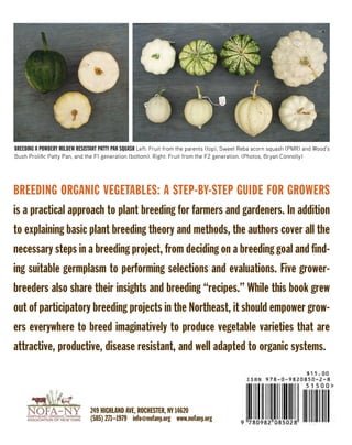 BREEDING ORGANIC VEGETABLES: A STEP-BY-STEP GUIDE FOR GROWERS is a practical approach to plant breeding for farmers and gardeners. In addition to explaining basic plant breeding theory and methods, the authors cover all the necessary steps in a breeding project, from deciding on a breeding goal and finding suitable germplasm to performing selections and evaluations. Five grower- breeders also share their insights and breeding “recipes.” While this book grew out of participatory breeding projects in the Northeast, it should empower growers everywhere to breed imaginatively to produce vegetable varieties that are attractive, productive, disease resistant, and well adapted to organic systems. 
BREEDING A POWDERY MILDEW RESISTANT PATTY PAN SQUASH Left: Fruit from the parents (top), Sweet Reba acorn squash (PMR) and Wood’s Bush Prolific Patty Pan, and the F1 generation (bottom). Right: Fruit from the F2 generation. (Photos, Bryan Connolly) 
249 HIGHLAND AVE, ROCHESTER, NY 14620 
(585) 271–1979 info@nofany.org www.nofany.org 
