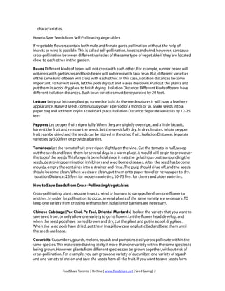 characteristics. 
How to Save Seeds from Self-Pollinating Vegetables 
If vegetable flowers contain both male and female parts, pollination without the help of 
insects or wind is possible. This is called self-pollination. Insects and wind, however, can cause 
cross-pollination between different varieties of the same type of vegetable if they are located 
close to each other in the garden. 
Beans Different kinds of beans will not cross with each other. For example, runner beans will 
not cross with garbanzos and bush beans will not cross with fava bean. But, different varieties 
of the same kind of bean will cross with each other. In this case, isolation distances become 
important. To harvest seeds, let the pods dry out and leaves die down. Pull out the plants and 
put them in a cool dry place to finish drying. Isolation Distance: Different kinds of beans have 
different isolation distances. Bush bean varieties must be separated by 20 feet. 
Lettuce Let your lettuce plant go to seed or bolt. As the seed matures it will have a feathery 
appearance. Harvest seeds continuously over a period of a month or so. Shake seeds into a 
paper bag and let them dry in a cool dark place. Isolation Distance: Separate varieties by 12-25 
feet. 
Peppers Let pepper fruits ripen fully. When they are slightly over ripe, and a little bit soft, 
harvest the fruit and remove the seeds. Let the seeds fully dry. In dry climates, whole pepper 
fruits can be dried and the seeds can be stored in the dried fruit. Isolation Distance: Separate 
varieties by 500 feet or provide a barrier. 
Tomatoes Let the tomato fruit over-ripen slightly on the vine. Cut the tomato in half, scoop 
out the seeds and leave them for several days in a warm place. A mould will begin to grow over 
the top of the seeds. This fungus is beneficial since it eats the gelatinous coat surrounding the 
seeds, destroying germination inhibitors and seed borne diseases. After the seed has become 
mouldy, empty the container into a strainer and rinse. The pulp should rinse off, and the seeds 
should become clean. When seeds are clean, put them onto paper towel or newspaper to dry. 
Isolation Distance: 25 feet for modern varieties, 50-75 feet for cherry and older varieties. 
How to Save Seeds from Cross-Pollinating Vegetables 
Cross-pollinating plants require insects, wind or humans to carry pollen from one flower to 
another. In order for pollination to occur, several plants of the same variety are necessary. TO 
keep one variety from crossing with another, isolation or barriers are necessary. 
Chinese Cabbage (Pac Choi, Pe Tsai, Oriental Mustards) Isolate the variety that you want to 
save seed from, or only allow one variety to go to flower. Let the flower head develop, and 
when the seed pods have turned brown and dry, cut the plant and put in a cool, dry place. 
When the seed pods have dried, put them in a pillow case or plastic bad and beat them until 
the seeds are loose. 
Cucurbits Cucumbers, gourds, melons, squash and pumpkins easily cross-pollinate within the 
same species. This makes seed saving tricky if more than one variety within the same species is 
being grown. However, plants from different species can be grown together, without risk of 
cross-pollination. For example, you can grow one variety of cucumber, one variety of squash 
and one variety of melon and save the seeds from all the fruit. If you want to save seeds form 
FoodShare Toronto | Archive | www.foodshare.net | Seed Saving| 2 
 