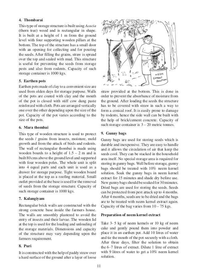 Seed Storage Techniques A Primer