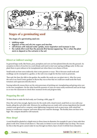 44 
Direct or indirect sowing? 
In general large seeds, like beans, peas, pumpkins and corn are best planted directly into the ground. An exception to this is if you live in a cool climate and want to start your spring seedlings early. In this case plant them in pots indoors to be transplanted out when there is no chance of frost. 
Small seeds are best sown indirectly; that is into punnets or trays. This is because small seeds and seedlings can be swamped in a garden, or the soil is too rough for the fine roots to penetrate. 
That said, the finer the tilth in the garden, the smaller the seeds you can plant into it. After five years the soil at our Seed Centre gardens in Byron Bay was so fine that we could sow small seeds like basil, tomatoes and capsicums directly into it. 
Sowing indirectly means there are the extra processes of pricking out, transplanting and giving extra care to the new transplants. On the other hand the punnets or trays are more easily monitored and can be kept in or near the classroom to check their moisture levels and progress daily. 
Preparing the soil 
To learn how to make the bed ready, see Creating a tilth, page 37. 
Once the soil is fine enough, dig furrows for the seeds with a hand trowel, small fork or even with your hands, piling the soil either side. Mixtures for seedling trays are made with various ingredients but should contain some good soil or compost, some lightening component such as peat moss, well-rotted leaf humus or mushroom compost, and some sharp river sand for drainage. The fertility does not have to be high. The compost should be well matured. 
How deep? 
A seed should be planted at a depth twice to three times its diameter; for example if a pea is 5mm wide then plant it with 10 to 15mm of soil above it. That said, it is better to sow too shallow than too deep. The reason for this is that the germ cannot make its way through too thick a layer of soil. It will die from exhaustion. 
Stages of a germinating seed 
The stages of a germinating seed are: 
• imbibing water 
• digestion of fats and oils into sugars and starches 
• cell division with reduced water uptake, more respiration and increase in size 
• the radicle (first root) then the plumule (first leaves) appearing. This is when the plant starts to depend on the nutrients in the soil. 
Chapter 4: Planting  
