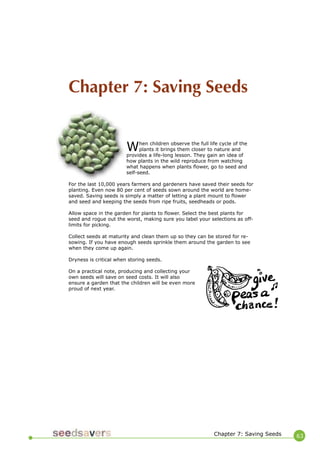 63 
When children observe the full life cycle of the plants it brings them closer to nature and provides a life-long lesson. They gain an idea of how plants in the wild reproduce from watching what happens when plants flower, go to seed and self-seed. 
For the last 10,000 years farmers and gardeners have saved their seeds for planting. Even now 80 per cent of seeds sown around the world are home- saved. Saving seeds is simply a matter of letting a plant mount to flower and seed and keeping the seeds from ripe fruits, seedheads or pods. 
Allow space in the garden for plants to flower. Select the best plants for seed and rogue out the worst, making sure you label your selections as off- limits for picking. 
Collect seeds at maturity and clean them up so they can be stored for re- sowing. If you have enough seeds sprinkle them around the garden to see when they come up again. 
Dryness is critical when storing seeds. 
On a practical note, producing and collecting your own seeds will save on seed costs. It will also ensure a garden that the children will be even more proud of next year. 
Chapter 7: Saving Seeds 
Chapter 7: Saving Seeds  