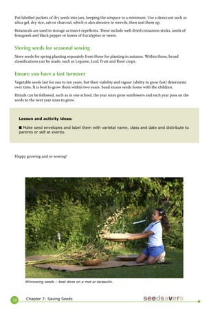 70 
Put labelled packets of dry seeds into jars, keeping the airspace to a minimum. Use a desiccant such as silica gel, dry rice, ash or charcoal, which is also abrasive to weevils, then seal them up. 
Botanicals are used in storage as insect repellents. These include well-dried cinnamon sticks, seeds of fenugreek and black pepper or leaves of Eucalyptus or neem. 
Storing seeds for seasonal sowing 
Store seeds for spring planting separately from those for planting in autumn. Within those, broad classifications can be made, such as Legume, Leaf, Fruit and Root crops. 
Ensure you have a fast turnover 
Vegetable seeds last for one to ten years, but their viability and vigour (ability to grow fast) deteriorate over time. It is best to grow them within two years. Send excess seeds home with the children. 
Rituals can be followed, such as in one school, the year sixes grow sunflowers and each year pass on the seeds to the next year sixes to grow. 
Happy growing and re-sowing! 
Chapter 7: Saving Seeds 
Winnowing seeds – best done on a mat or tarpaulin. 
Lesson and activity ideas: 
■ Make seed envelopes and label them with varietal name, class and date and distribute to parents or sell at events.  