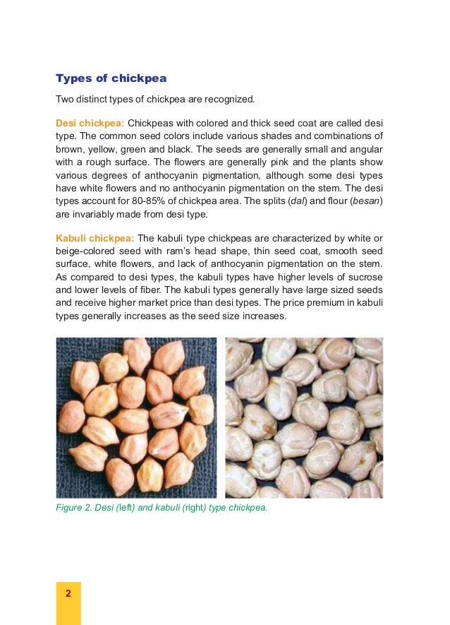 Chickpea Seed Production Manual ~ icrisat.org