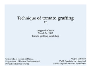 Technique of tomato grafting 
University of Hawaii at Manoa 
Department of Plant & Environmental 
Protection Sciences(PEPS) 
by 
Angelo Loffredo 
March 24, 2012 
Tomato grafting workshop 
Angelo Loffredo 
Ph.D. Specialist on biological 
control of plant parasitic nematodes 
 