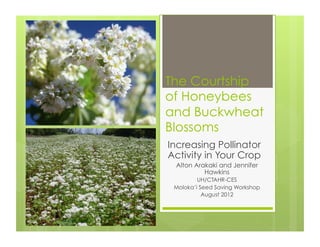 The Courtship 
of Honeybees 
and Buckwheat 
Blossoms 
Increasing Pollinator 
Activity in Your Crop 
Alton Arakaki and Jennifer 
Hawkins 
UH/CTAHR-CES 
Moloka’i Seed Saving Workshop 
August 2012 
 