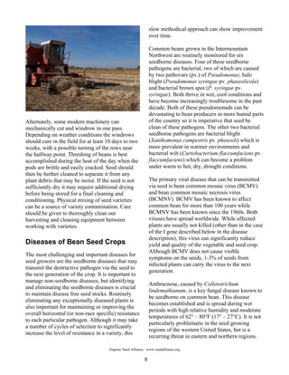 The Principles and Practices of Organic Bean Seed Production in the ...