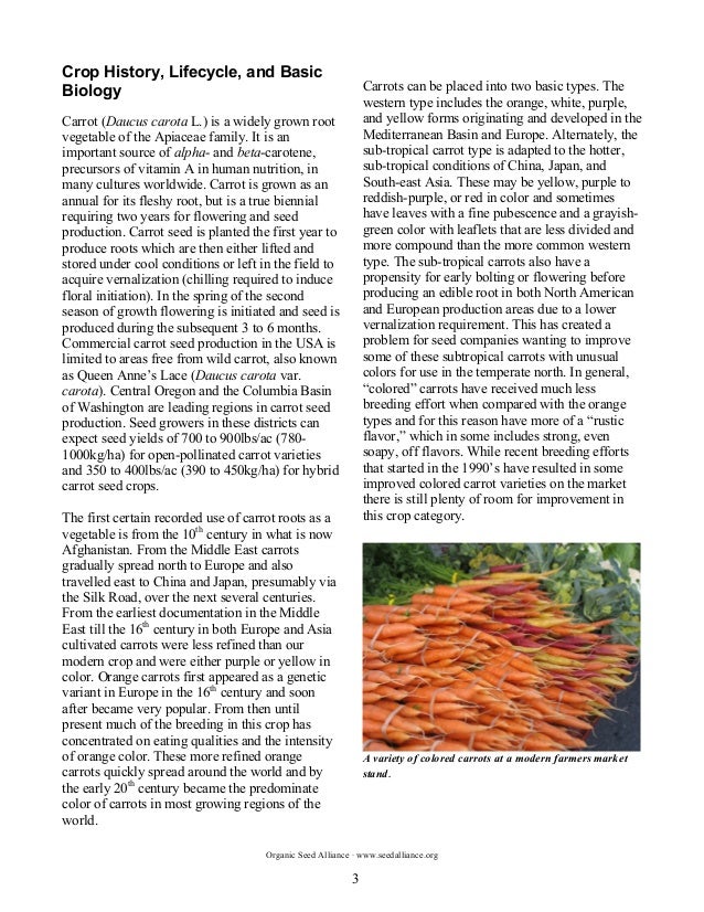 The Principles and Practices of Organic Carrot Seed Production in the…