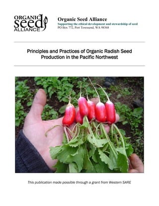 Organic Seed Alliance 
Supporting the ethical development and stewardship of seed 
PO Box 772, Port Townsend, WA 98368 
Principles and Practices of Organic Radish Seed 
Production in the Pacific Northwest 
This publication made possible through a grant from Western SARE 
 