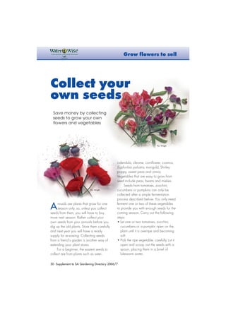 30Supplement to SA Gardening Directory 2006/7 Annuals are plants that grow for oneseason only, so, unless you collectseeds from them, you will have to buymore next season. Rather collect yourown seeds from your annuals before youdig up the old plants. Store them carefullyand next year you will have a readysupply for re-sowing. Collecting seedsfrom a friend's garden is another way ofextending your plant stores. For a beginner, the easiest seeds tocollect are from plants such as aster, calendula, cleome, cornflower, cosmos, Euphorbiapalustris, marigold, Shirleypoppy, sweet peas and zinnia. Vegetables that are easy to grow fromseed include peas, beans and mielies. Seeds from tomatoes, zucchini, cucumbers or pumpkins can only becollected after a simple fermentationprocess described below. You only needferment one or two of these vegetablesto provide you with enough seeds for thecoming season. Carry out the followingsteps: •Let one or two tomatoes, zucchini, cucumbers or a pumpkin ripen on theplant until it is overripe and becomingsoft. •Pick the ripe vegetable, carefully cut itopen and scoop out the seeds with aspoon, placing them in a bowl oflukewarm water. Grow flowers to sellConserving Water, Conserving the EnrironmentRAND WATERCollect your own seedsSave money by collectingseeds to grow your ownflowers and vegetablesPic: Wright. Pic: Wright. Randwater 7/10/06 11:06 AM Page 30  