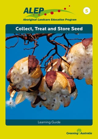 Collect, Treat and Store Seed
Learning Guide
5
 