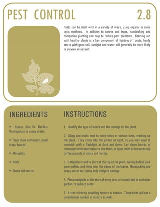PEST CONTROL 2.8 
Pests can be dealt with in a variety of ways, using organic or more 
toxic methods. In addition to sprays and traps, handpicking and 
companion planting can help to reduce pest problems. Starting out 
with healthy plants is a key component of fighting off pests; hardy 
starts with good soil, sunlight and water will generally be more likely 
to survive an assault. 
INGREDIENTS INSTRUCTIONS 
• Sprays (like Bt- Bacillus 
thuringiensis or soapy water) 
• Traps (tuna containers, small 
trays, boards) 
• Marigolds 
• Birds 
• Sharp soil matter 
1. Identify the type of insect and the damage on the plant. 
2. Slugs and snails tend to make holes of various sizes, working up 
the plant. They come into the garden at night, so you may need to 
handpick with a flashlight at dusk and dawn. Lay down boards or 
containers with beer inside to lure them, or repel them by broadcasting 
coffee grounds or sharp soil matter. 
3. Caterpillars tend to start at the top of the plant, leaving behind dark 
green pellets and holes near the edges of the leaves. Handpicking and 
soapy water leaf spray help mitigate damage. 
4. Plant marigolds at the start of every row, or in each bed or container 
garden, to detract pests. 
5. Attract birds by providing feeders or habitat. These birds will eat a 
considerable number of insects as well. 
 