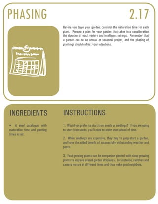 PHASING 2.17 
Before you begin your garden, consider the maturation time for each 
plant. Prepare a plan for your garden that takes into consideration 
the duration of each variety and intelligent pairings. Remember that 
a garden can be an annual or seasonal project, and the phasing of 
plantings should reflect your intentions. 
INGREDIENTS INSTRUCTIONS 
• A seed catalogue, with 
maturation time and planting 
times listed. 
1. Would you prefer to start from seeds or seedlings? If you are going 
to start from seeds, you’ll need to order them ahead of time. 
2. While seedlings are expensive, they help to jump-start a garden, 
and have the added benefit of successfully withstanding weather and 
pests. 
3. Fast-growing plants can be companion planted with slow-growing 
plants to improve overall garden efficiency. For instance, radishes and 
carrots mature at different times and thus make good neighbors. 
 