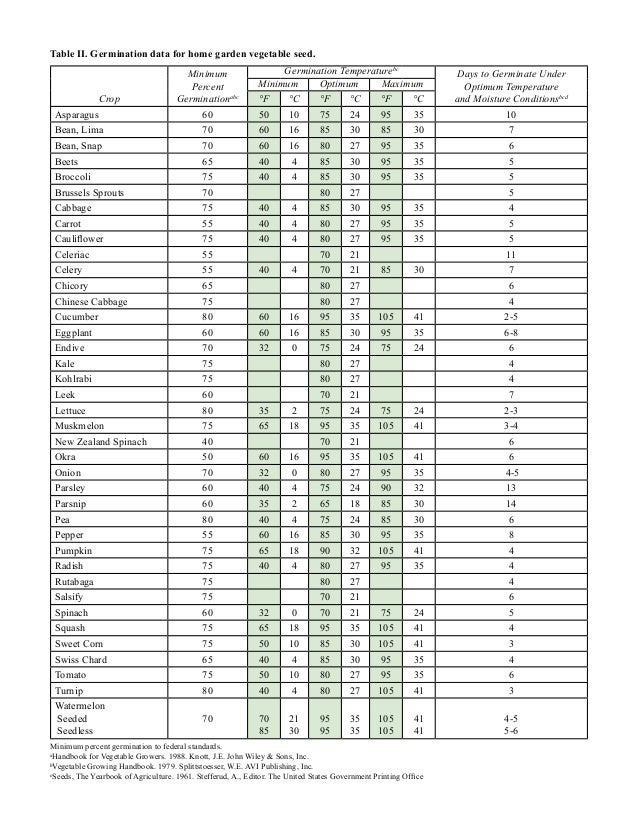 Vegetable Garden Seed Storage and Germination Requirements