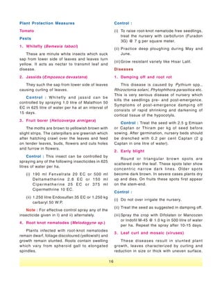 Vegetable Seed Production - India