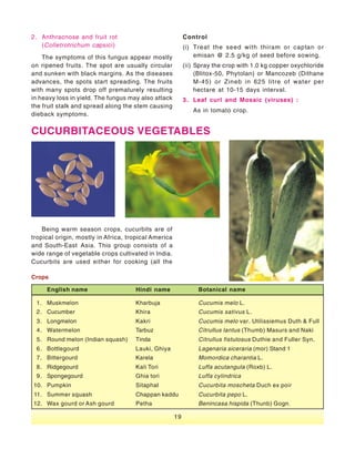 Vegetable Seed Production - India