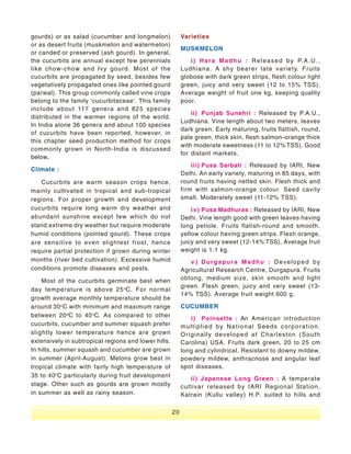 Vegetable Seed Production - India