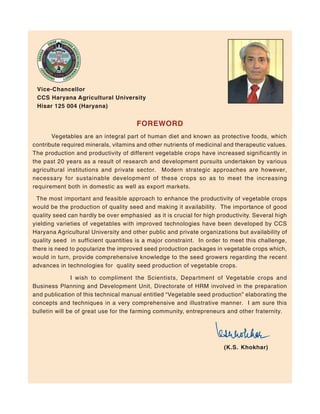 Vegetable Seed Production - India