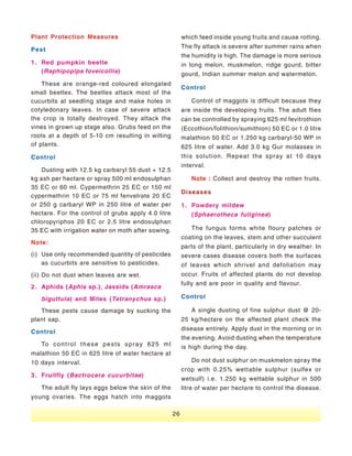Vegetable Seed Production - India