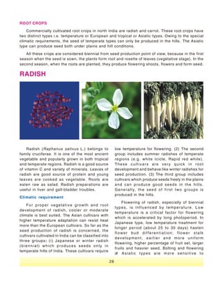 Vegetable Seed Production - India