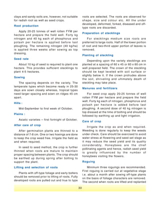 Vegetable Seed Production - India